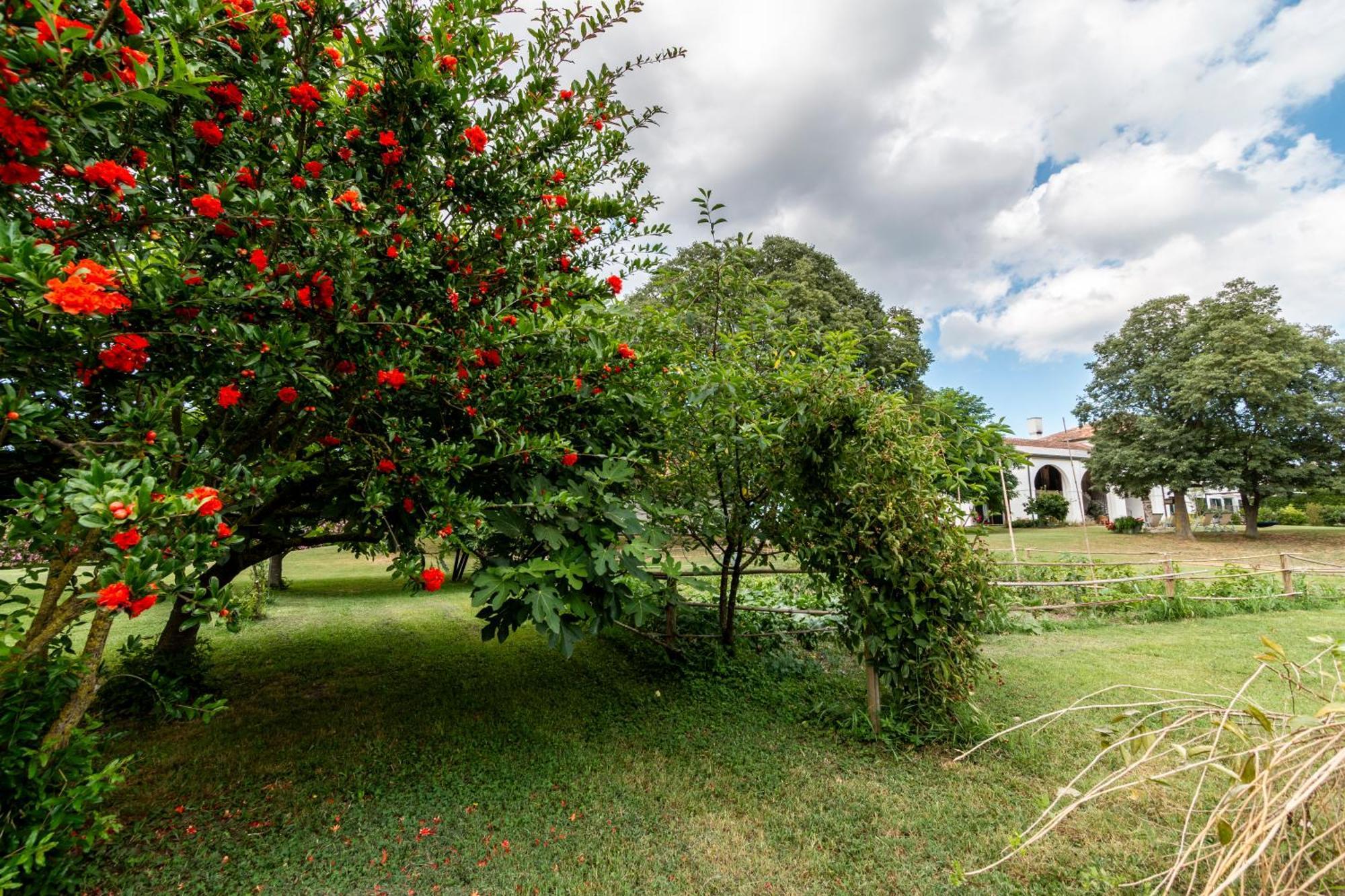 All'ombra Del Bagolaro Holiday home *