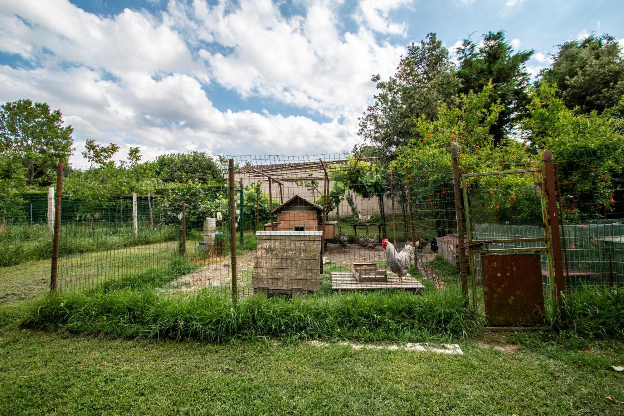 All'ombra Del Bagolaro Holiday home